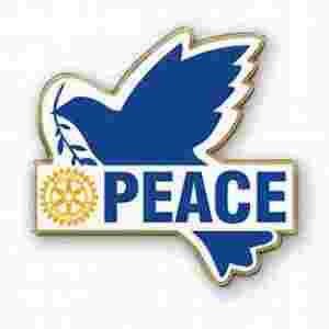 Rotary Peace Fellowships